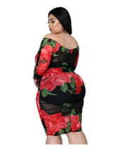 Load image into Gallery viewer, Lisa Dress
